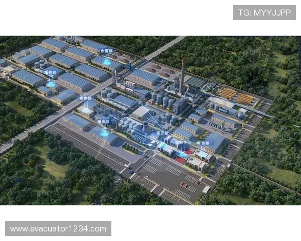 博乐真人官网网站日常管理与风险控制策略分析